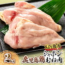 【ふるさと納税】 唯一の国産 幻の鶏肉 シャポン 鹿児島 鶏むね肉 2kg 鶏むね 鶏肉 鶏 鳥肉 肉 お肉 ムネ むね肉 唐揚げ チキン南蛮 シャポン鶏 国産...