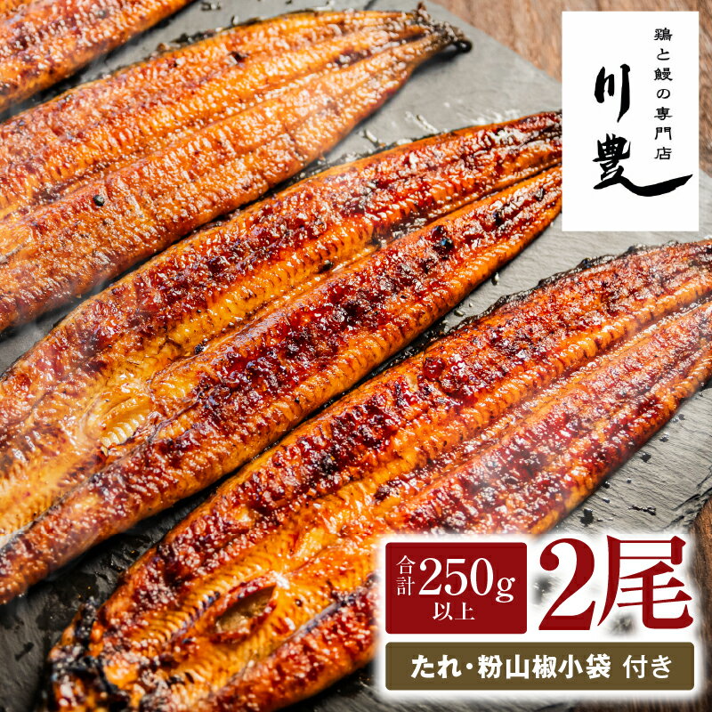 【ふるさと納税】【土用の丑の日特集】＜国産＞ 昭和56年創業 うなぎの川豊 有頭 ...