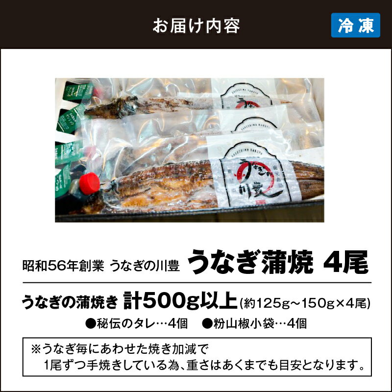 【ふるさと納税】【土用の丑の日特集】＜国産＞ 昭和56年創業 うなぎの川豊 有頭 蒲焼き 4尾 セット(約125g〜150g×4尾)たれ・山椒付き！鹿児島 鹿屋市 鰻 ウナギ 蒲焼 冷凍 急速冷凍 湯煎 簡単調理 鰻丼 鰻重 ひつまぶし 土用の丑【有限会社 MNB】