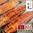 【ふるさと納税】【土用の丑の日特集】<国産> 昭和56年創業 うなぎの川豊 有頭 蒲焼き 8尾 セット(約125g~150g×8尾)たれ・山椒付き!鹿児島 鹿屋市 鰻 ウナギ 蒲焼 冷凍 急速冷凍 湯煎 簡単調理 鰻丼 ひつまぶし 土用の丑【有限会社 MNB】