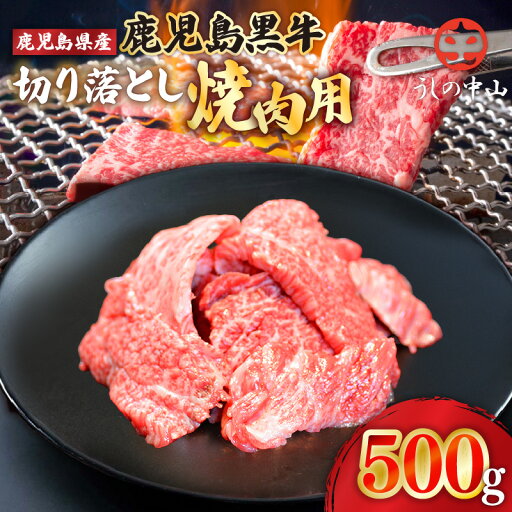 【ふるさと納税】うしの中山 切り落とし 焼肉 用 500g (500g×1パック) 和牛 黒毛和牛 牛肉 【株式会社nixy 中山亭 鹿屋店】 【ふるさと納税】うしの中山 切り落とし 焼肉 用 500g (500g×1パック) 和牛 黒毛和牛 牛肉 【株式会社nixy 中山亭 鹿屋店】