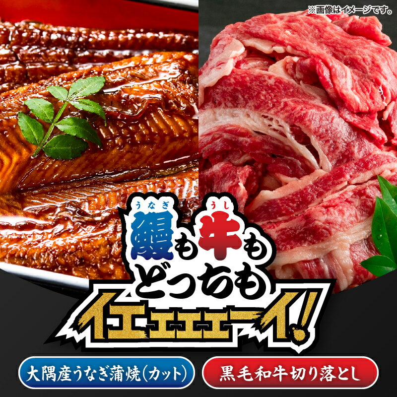 【ふるさと納税】【新聞...