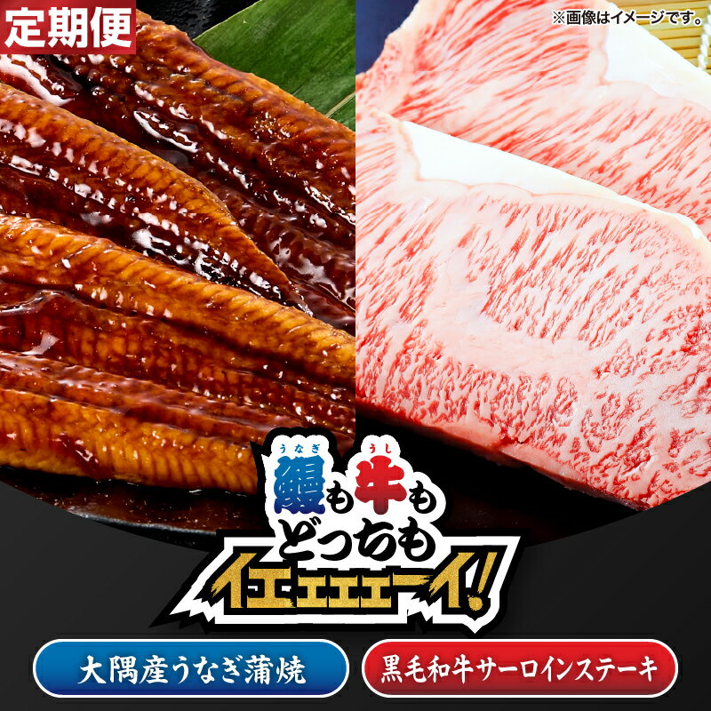 【ふるさと納税】【新聞...