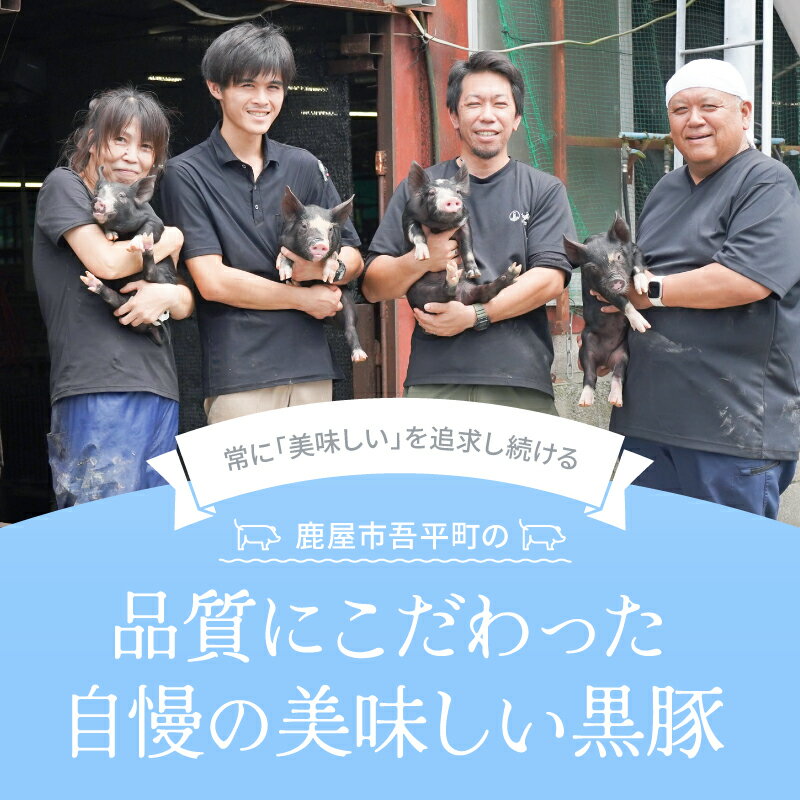 【ふるさと納税】鹿児島県産黒豚ロースしゃぶしゃぶセット（ロース・肩ロース）1kg 国産 鹿児島 黒豚 豚肉 豚 小分け 冷凍 お肉 スライス 薄切り 豚しゃぶ しゃぶしゃぶ しゃぶしゃぶ用 すき焼き しょうが焼き【鎌田黒豚農場】