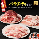 【ふるさと納税】 【定期便6ヶ月】 鹿児島県産黒豚バラエティセット 計9.0kg <1.5kg( ロース 250g・バラ250g・切り落とし1kg)×6回> 国...