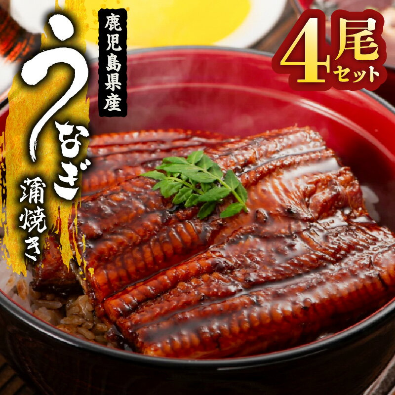 【ふるさと納税】【土用の丑の日特集】＜国産＞ 鹿児島県大隅産！うなぎの蒲焼き4...