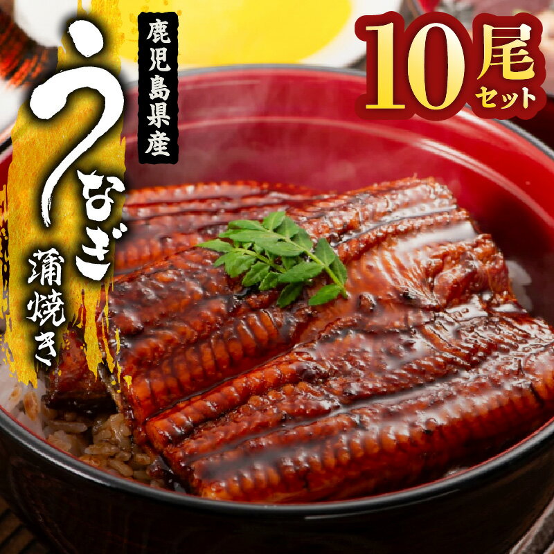 【ふるさと納税】【土用の丑の日特集】＜国産＞ 鹿児島県大隅産！無頭 うなぎ蒲焼 ...