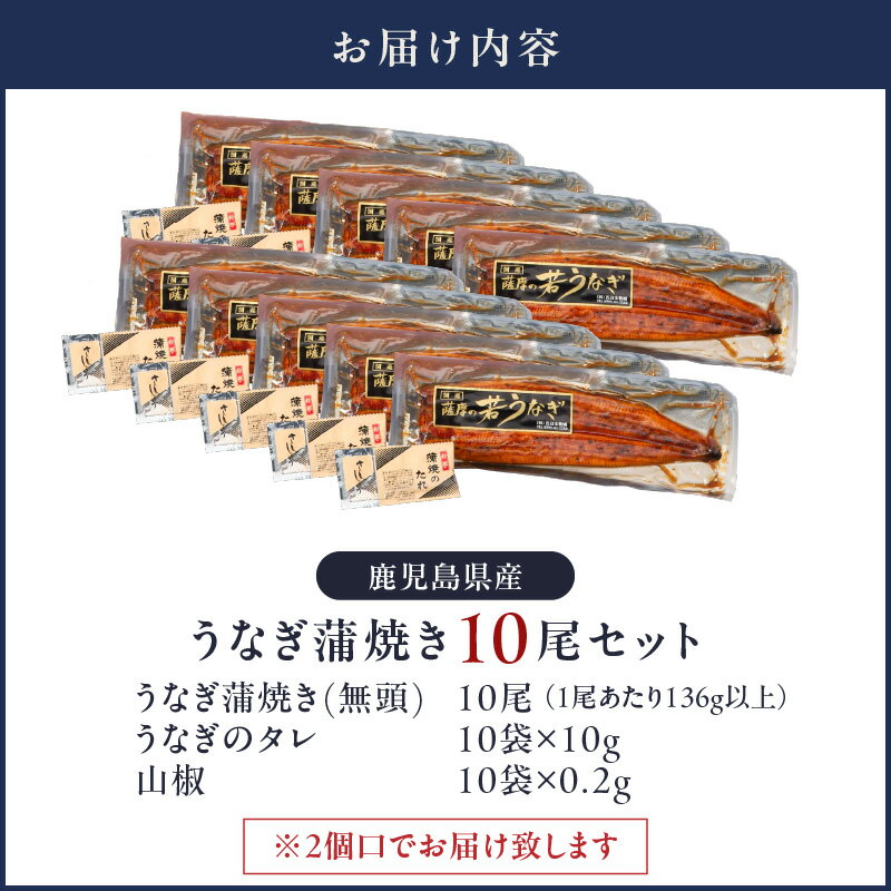 【ふるさと納税】【土用の丑の日特集】＜国産＞ 鹿児島県大隅産！無頭 うなぎ蒲焼 10尾（計1.36kg）［1尾あたり136g以上］うなぎのたれ・山椒付き！無投薬にこだわり！うな重 鰻重 鰻丼 ひつまぶし 真空パック 小分け【西日本養鰻】
