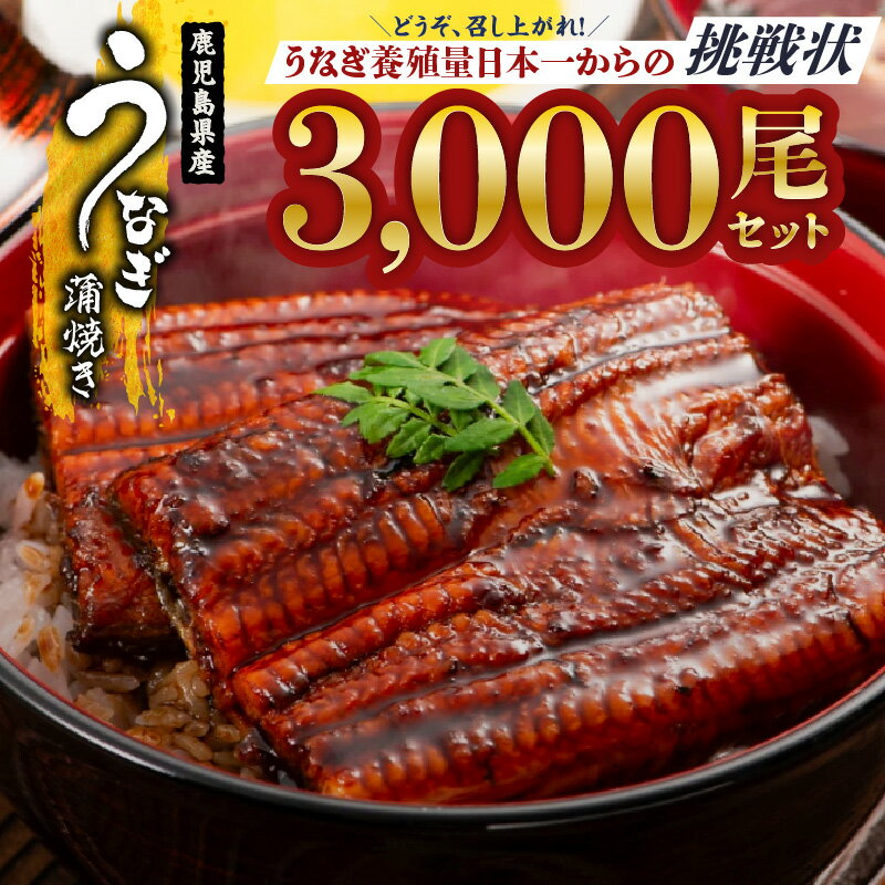 【ふるさと納税】どうぞ、召し上がれ!うなぎ養殖量日本一からの挑戦状!【うなぎ蒲焼き3000尾】うな重 鰻重 鰻丼 ひつまぶし 真空パック 小分け 土用の丑の日【...