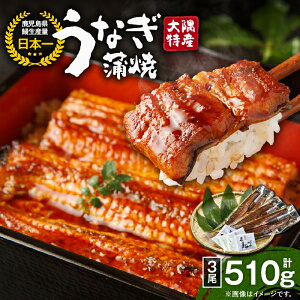 【ふるさと納税】【土用の丑の日特集】<国産> 大隅特産うなぎ蒲焼(3尾・計510g)たれ・山椒付き!湯煎または電子レンジで温めるだけでうなぎ本来の美味しさを味わえます!【株式会社寺園商店】