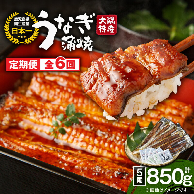 【ふるさと納税】【定期便6回】大隅特産うなぎ蒲焼5尾（850g）【国産】 たれ付 真空パック 湯煎 レンジ 簡単調理 国産 国産うなぎ 定期 うなぎ蒲焼 小分け 定期便 鹿児島県 鹿屋市【寺園商店】