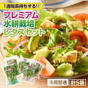 【ふるさと納税】 洗わずに食べられる プレミアム 水耕栽培 レタス 5袋 レタス ヘルシーリーフ リーフレタス フリフリリーフ フリルアイス 野菜 サラダ 農薬...