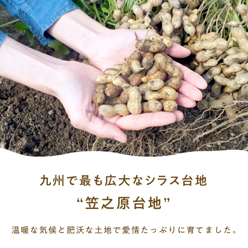 【ふるさと納税】むきみ煎り落花生（150g×2袋）と、から付き煎り落花生（150g×3袋）のセット　計750g 落花生 煎り むき身 から付き ピーナッツ おつまみ 国産【有限会社みかげ】