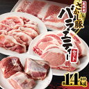 【ふるさと納税】鹿屋産 さかし豚 豚肉バラエティーセット 計1.4kg[豚モモスライス500g、豚厚切りロース3枚550g、豚ヒレ3枚150g、豚バラスライス2...