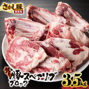 【ふるさと納税】【訳あり】豚スペアリブブロック 3.5kg以上 国産 鹿児島県産 豚 豚肉 スペアリブ 骨付き BBQ バーベキュー 訳あり ブロック 小分け 真空パック 冷凍【有限会社東別府養豚】