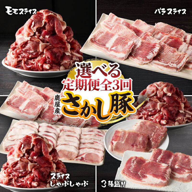 【ふるさと納税】＜全3回 定期便＞鹿屋産 さかし豚 選べる 肉 豚肉 モモ バラ ロース スライス 切り落...