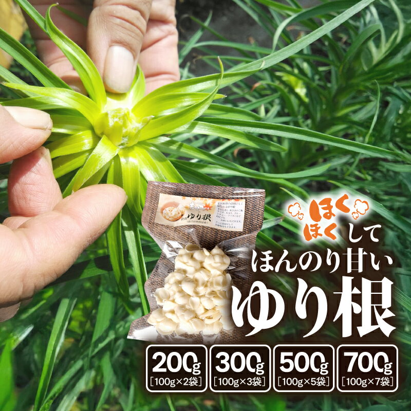 【ふるさと納税】＜選べる容量＞ ほくほくしてほんのり甘い ゆり根 200g ～ 700g ゆり根 野菜 やさい ..