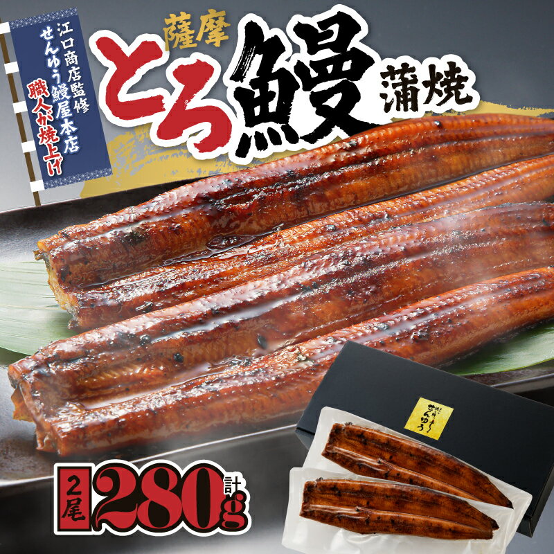 【ふるさと納税】【江口商店監修】薩摩とろ鰻蒲焼二尾 280g(140g×2)国産ウナギ 冷凍 たれ付 山椒付き 鰻かばやき うなぎ蒲焼 鹿屋市 鹿児島県産【志】