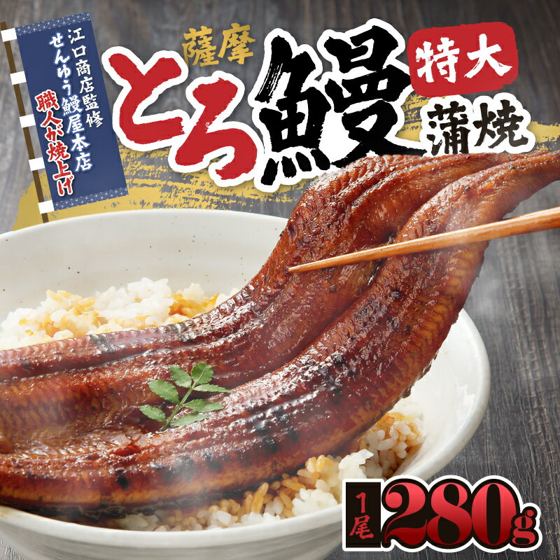 【ふるさと納税】【江口商店監修】薩摩とろ鰻蒲焼特大サイズ一尾 280g 国産ウナギ 冷凍 たれ付 山椒付き 鰻かばやき うなぎ蒲焼 鹿屋市 鹿児島県産 【志】