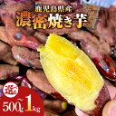 【ふるさと納税】<選べる> 濃密 鹿児島県産 焼き芋 500g or 1kg 訳あり 規格外 焼芋 芋 さつまいも 紅はるか 干し芋好きに 野菜 おやつ 甘い お子様 子供 熟成 人気 蜜芋 憲 鹿児島 鹿屋市 おすすめ ランキング プレゼント ギフト