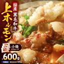 【ふるさと納税】 【選べる】 国産黒毛和牛上ホルモン(小腸) 600g〜2kg 国産 鹿児島県産 牛 牛肉 ホルモン もつ鍋 焼肉 串焼き 冷凍 真空 小分け 選べる【カミチク】
