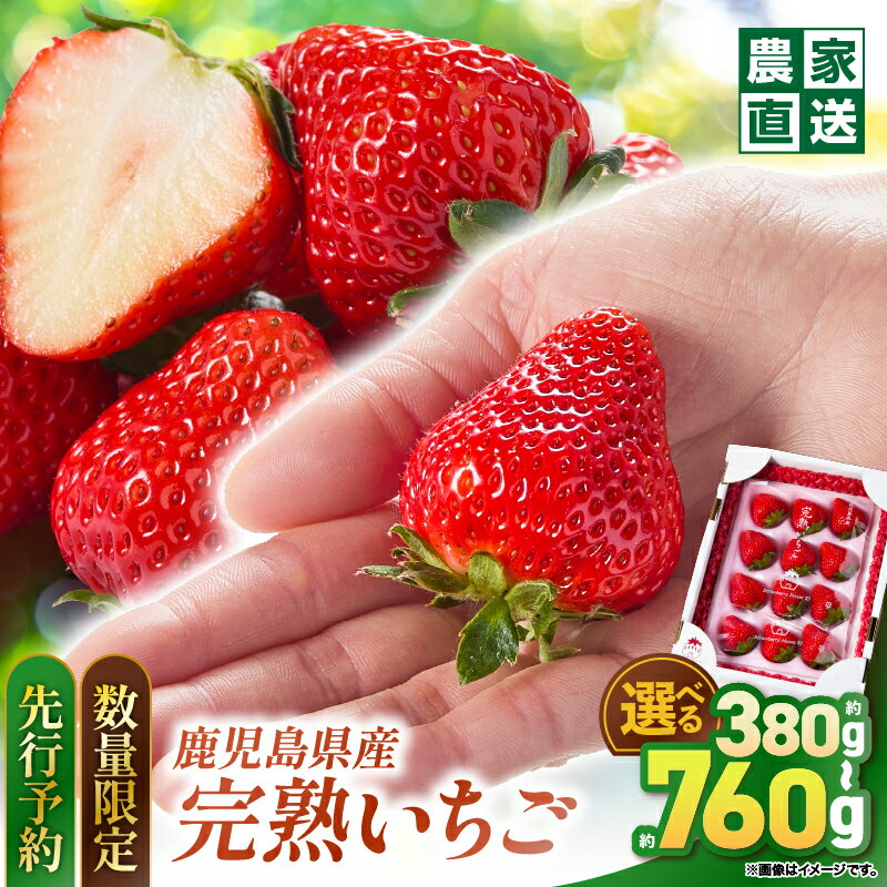 【ふるさと納税】【予約受付 数量�