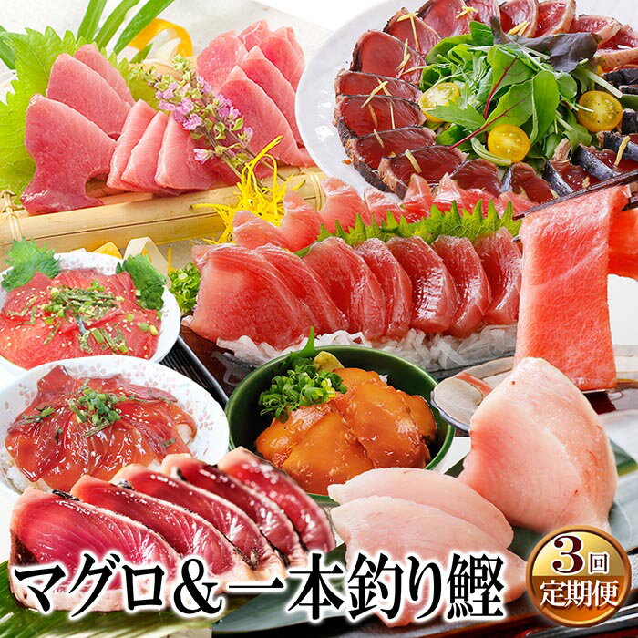 【ふるさと納税】DD-0060 定期便(3ケ月)枕崎ふるさと納税　まぐろ&一本釣りかつおのサムネイル