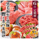 【ふるさと納税】黒毛和牛・黒豚・かつお・まぐろ 充実定期便(全6回) UU-0001【配送不可地域:離島】【1581566】