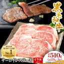 【ふるさと納税】【鹿児島県産】黒毛和牛 サーロインステーキ 約510g (約170g×3枚)(枕崎市) B3-89_ 肉 牛肉 和牛 黒毛和牛 サーロイン ステ...