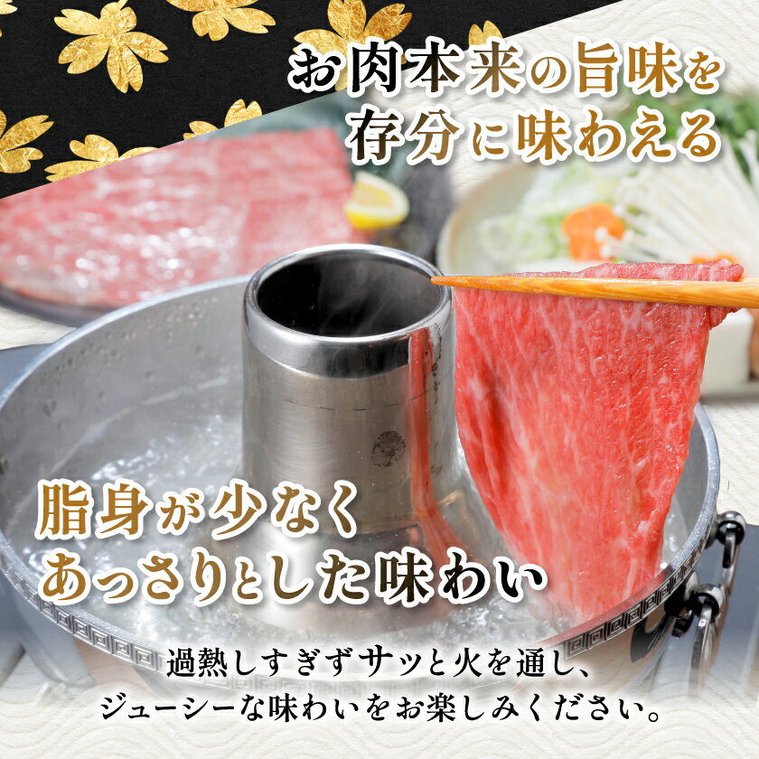 【ふるさと納税】【毎月定期便】鹿児島県産 黒毛和牛 赤身ももスライス 600g(枕崎市)RR-0002 全3回_ 定期便 肉 牛肉 黒毛和牛 もも スライス 人気 おすすめ 送料無料 贈答 ギフト スターゼン 鹿児島県 枕崎市 【配送不可地域：離島】【4067571】