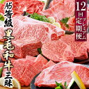 【ふるさと納税】定期便(12回)鹿児島県産A5等級黒毛和牛三昧 JJ-0017_ 肉 お肉 牛肉 霜降り シャトーブリアン 赤身 ブロック 切り落とし サーロイ...