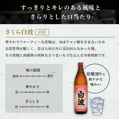 【ふるさと納税】【毎月定期便】【さくら白波】25度 900ml×6パックセット JJ10-0005全5回【配送不可地域：離島】【4088722】