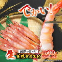 【ふるさと納税】【薩摩の甘エビ】大きいサイズ 天然タカエビ500g A1-10_ 甘エビ 海老 あまえび 天然 海鮮 甘海老 鹿児島県 枕崎市 送料無料 【配送不可地域:離島】【1524580】