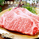 【ふるさと納税】鹿児島県産A5等級黒毛和牛サーロインステーキ3枚(600g) C0-17_ サーロインステーキ サーロイン ステーキ 肉 牛肉 和牛 黒毛和牛 ...
