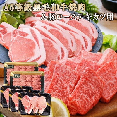 鹿児島県産A5等級黒毛和牛焼肉&豚ローステキカツ用 DD-149[配送不可地域:離島]