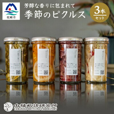 枕崎産かつお節と地元野菜の ピクルス 3種セット～芳醇な香りに包まれて～ BB-275【1166371】