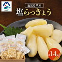 【ふるさと納税】鹿児島県産塩らっきょう1.4kg (140g×10パック) A3-284【配送不可地域:離島】【1166374】