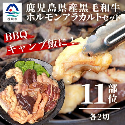 鹿児島県産黒毛和牛 ホルモン アラカルトセット 食べ比べ11部位 焼肉屋店主こだわり AA-791[配送不可地域:離島]