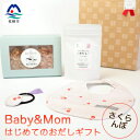 【ふるさと納税】はじめてのおだしギフト Baby&Mom さ