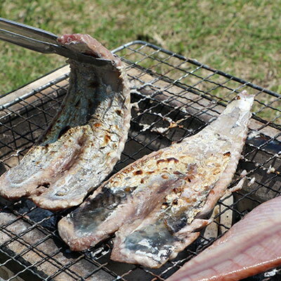 【ふるさと納税】【 訳あり 】 枕崎 からの 贈り物 かつお の 腹皮【合計 3Kg (12～16パック)】 AA-216 _ 国産 規格外 鰹 カツオ トロ おつまみ 人気 送料無料 【配送不可地域：離島】【1166527】