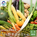 【ふるさと納税】鹿児島県枕崎産旬の野菜の詰め合わせ(6〜8種類) 野菜セット 国産 九州 厳選 A3-291【配送不可地域:離島】【1166700】