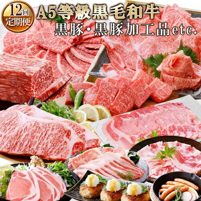 【ふるさと納税】 【レビューキャンペーン】 お肉の定期便(1