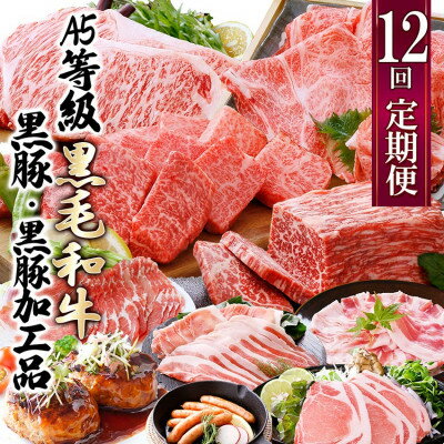 【ふるさと納税】お肉の定期便(12回)枕崎お楽しみ便(A5等級黒毛和牛・黒豚・黒豚加工品etc) KK-6003【1166746】