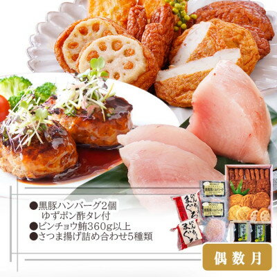 鹿児島県枕崎市の画像3