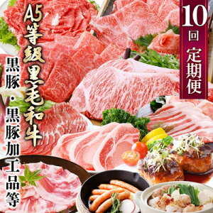 【ふるさと納税】定期便(1年で10回配送)お楽しみ便(A5等級黒毛和牛・鹿籠豚(黒豚)・かご豚加工品等HH-6004_ 肉 牛肉 サーロイン ステーキ 焼肉 ハンバーグ 切り落とし 豚肉 ロース バラ もつ鍋 【配送不可地域:離島】【1166752】