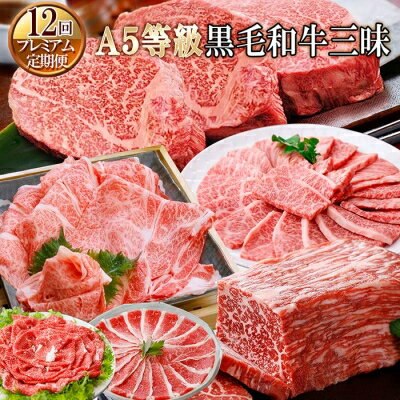 定期便 ( 12回 ) 鹿児島県産 A5等級 黒毛和牛 三昧 JJ-0017 _ 肉 お肉 牛肉 霜降り シャトーブリアン 赤身 ブロック 切り落とし サーロイン ステーキ 焼肉 すき焼き すきやき しゃぶしゃぶ 人気 送料無料 