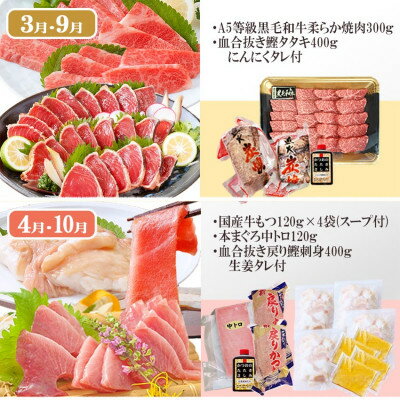 鹿児島県枕崎市の画像3