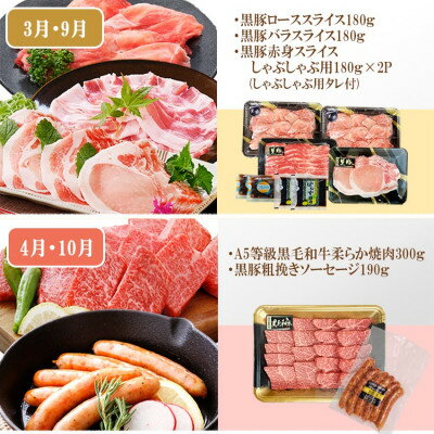 鹿児島県枕崎市の画像3