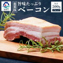 【ふるさと納税】枕崎産黒豚 鹿籠豚の旨味たっぷりベーコンブロック【500g】 A8-2【配送不可地域:離島】【1166978】