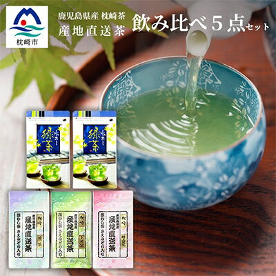 大河内製茶の煎茶飲み比べ 5点セット 特上煎茶・上煎茶・煎茶・水出し緑茶ティーバッグ BB-194